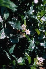 Go to image 4.