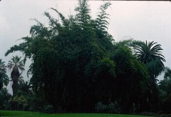 Go to image 13.