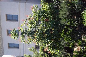 Go to image 2.