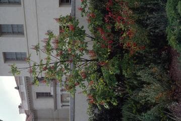 Go to image 6.