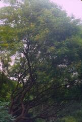 Go to image 10.