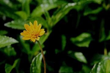Go to image 5.