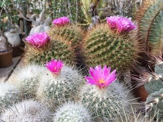 Go to image 3.