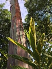 Go to image 8.