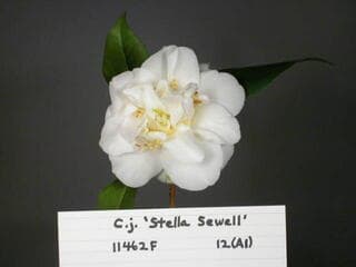 Go to image 1.
