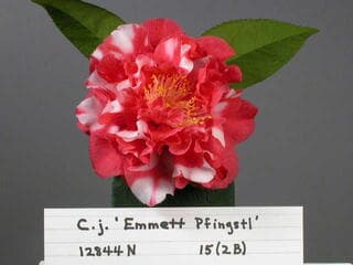 Go to image 1.
