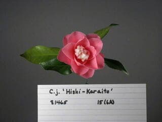 Go to image 2.