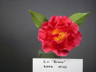 Go to image 6.