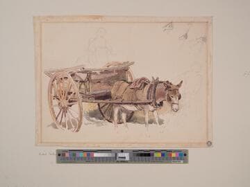 Donkey Cart