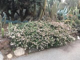 Go to image 8.