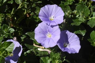 Go to image 8.
