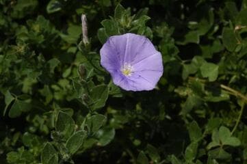Go to image 11.