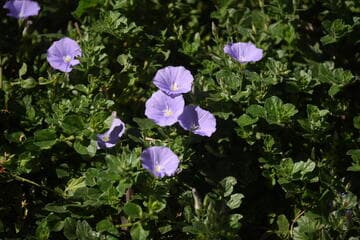 Go to image 7.