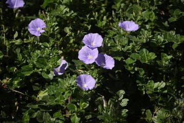 Go to image 3.