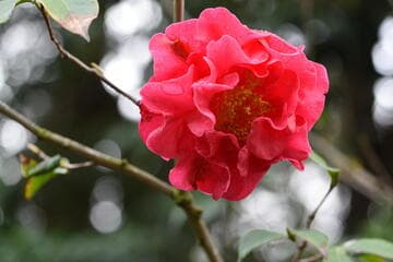 Go to image 3.