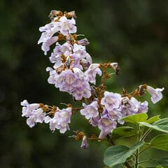 Go to image 7.
