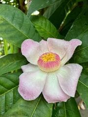 Go to image 1.