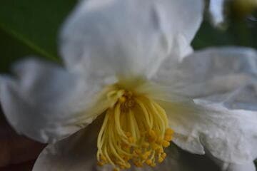 Go to image 3.