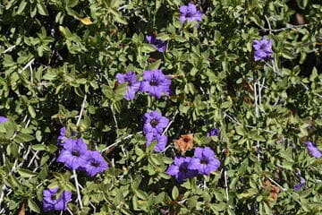 Go to image 9.