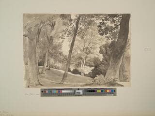 Go to image 1.