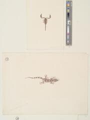 Go to image 2.