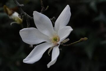 Go to image 4.