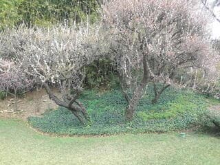 Go to image 1.