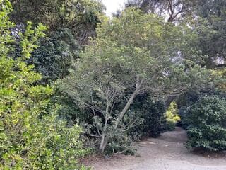 Go to image 1.