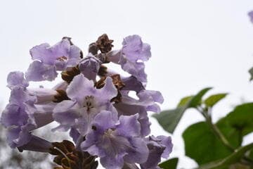 Go to image 15.