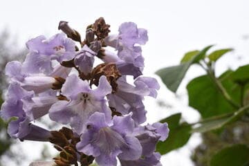 Go to image 18.