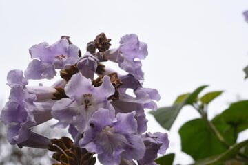 Go to image 14.
