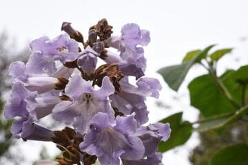 Go to image 16.