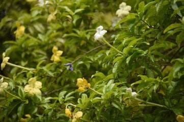 Go to image 10.