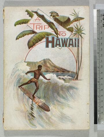 A Trip to Hawaii