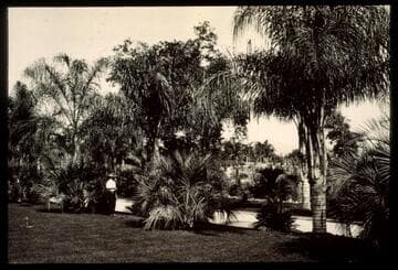 Palm garden looking to cactus garden with William Hertrich