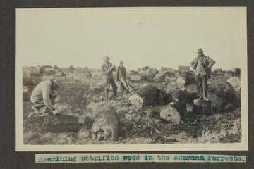 Zahn trip to San Juan placers in a Franklin car. Examining petrified wood in the Adamana Forests
