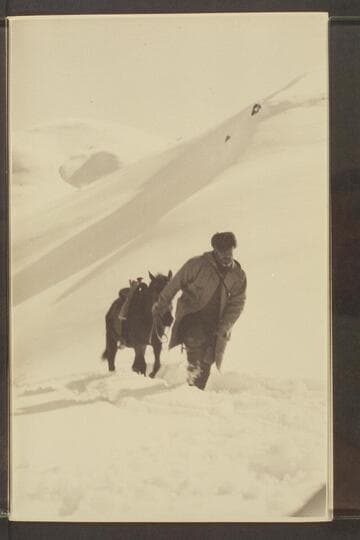 The writer, well-winded, dragging his equally jaded horse up to the wind-swept summit of Jenos [?] Pass