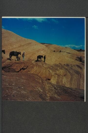 Leading stock past narrow ledge on bald rocks between Little Junction Creek and Bald Rock Creek