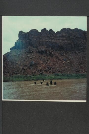 Trail stock crossing at Wilson Creek