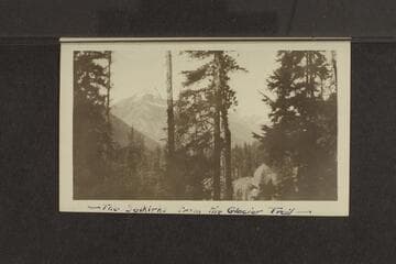 The Selkirks from the Glacier Trail