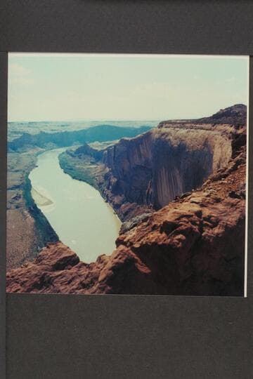 Tapestry Wall; Olympia Bar at left