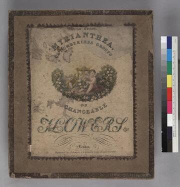 Myrianthea, or Numberless Groups of Changeable Flowers. Superior Edition