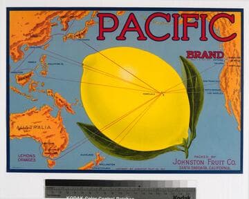 Pacific brand