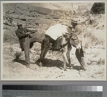 The "Diamond Hitch" - the only tie on the pack