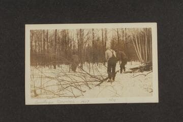 Saratoga Springs, 1917.  Wag