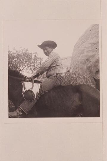 Dan Lehi Willetson rounds up the stock.  Camp in middle fork of 73.6