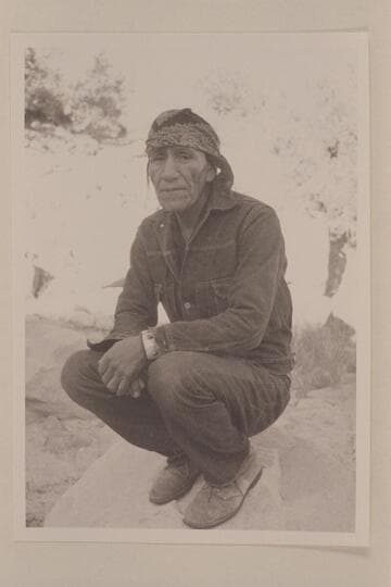 Tobe Owl; Nasja Begay