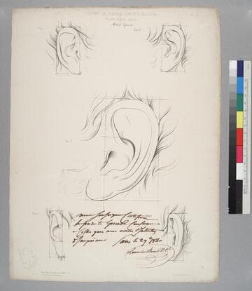 Cours De Figure Par Mr. N. Maurin