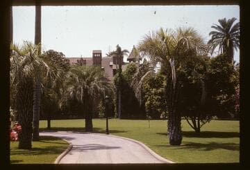 St. James Park, Chester Place