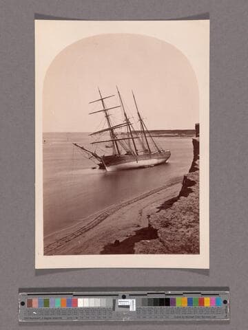 View in Wilmington Harbor, Wilmington